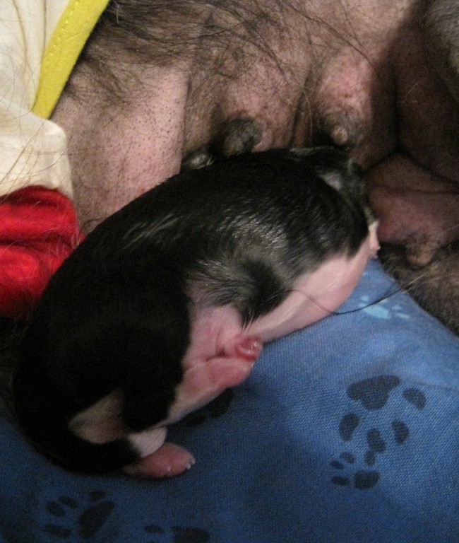 Jellybean’s First Snack