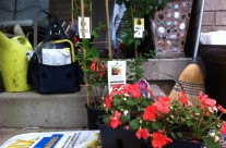 A Flower Combination for the Front