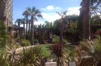 Cabanas Behind the Hotel