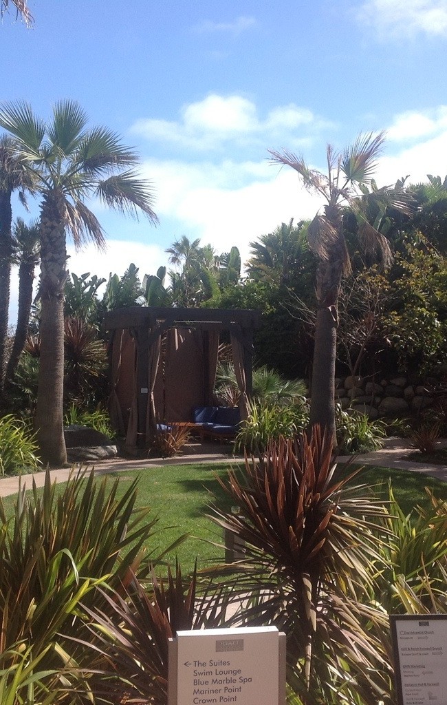 Cabanas Behind the Hotel