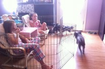 Protected Popcorn Time!