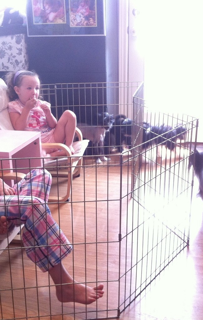 Protected Popcorn Time!