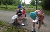 Scavenger Hunting…