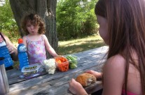 Visiting Balls Falls