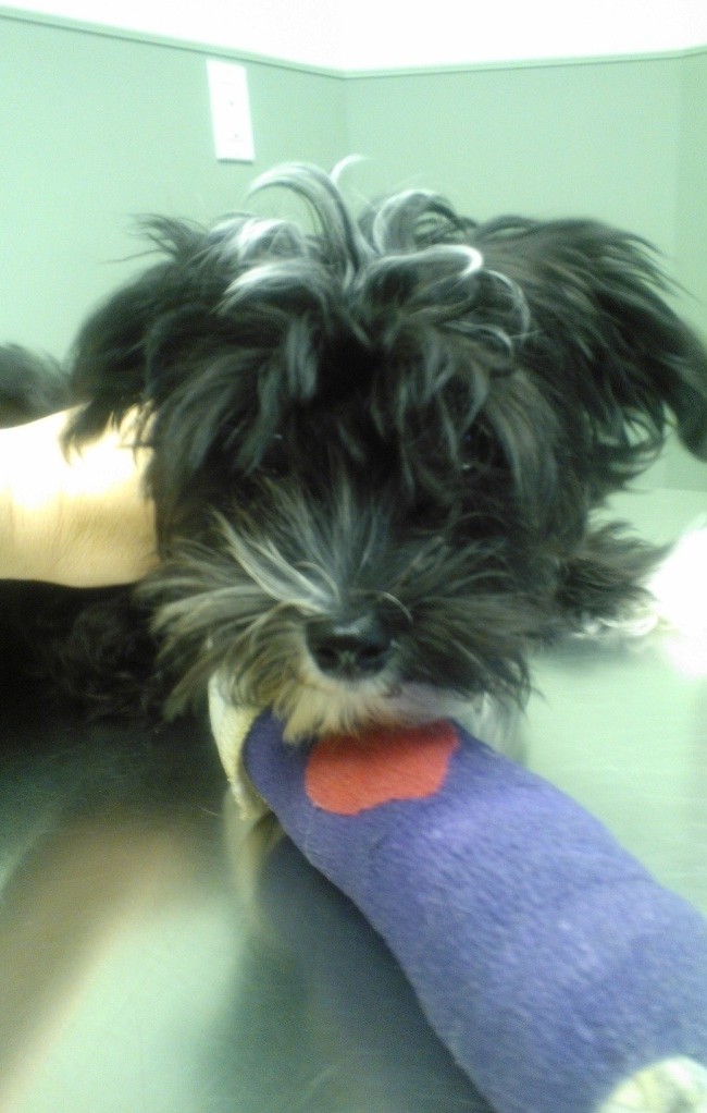 Tito Visits the Doctor