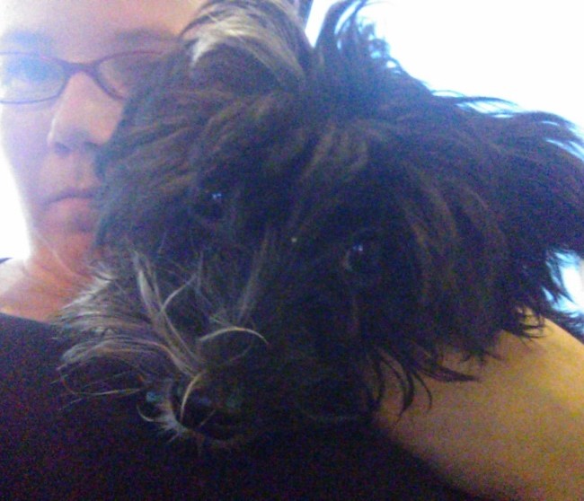 Chatting with Momma at the Vet – The Night Tito’s Leg Was Broken