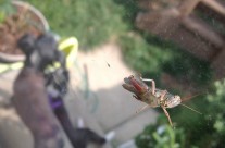 Look Who Dropped By…