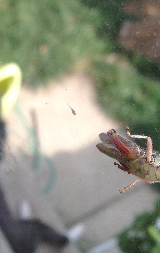 Look Who Dropped By…