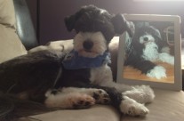 Jellybean Rockin’ the New Do