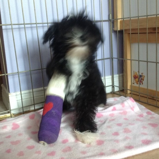 Tito is progressing nicely