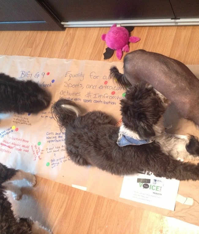 The Babies Helping Daddy