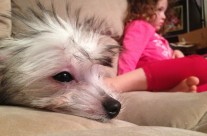 7-Up hanging out with Tanit