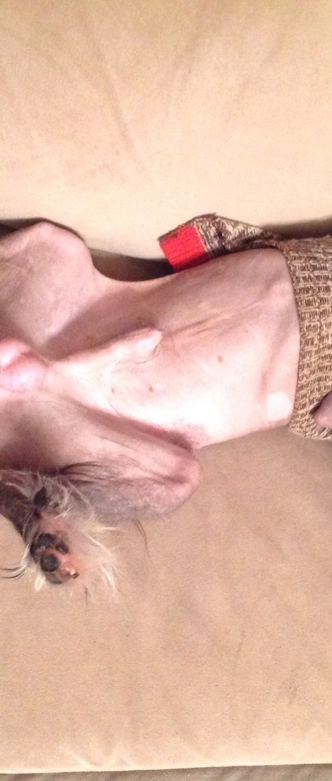 How is this comfortable?