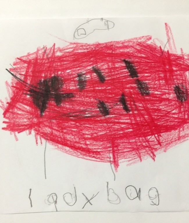 Tanit’s Ladybug