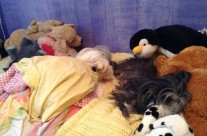 Lexx and kleo having  a  rest!