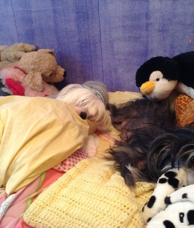 Lexx and kleo having  a  rest!