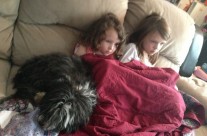 The Ladies Watching Judy Moody