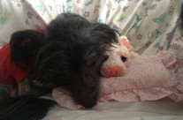 For dadda something we use to play with!