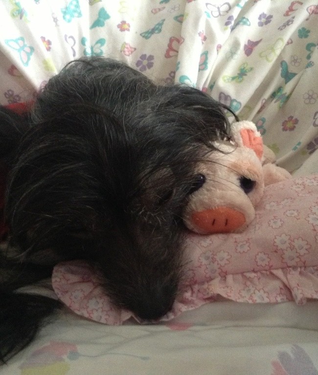 For dadda something we use to play with!