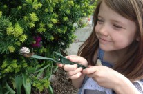 In Adoration of Snails