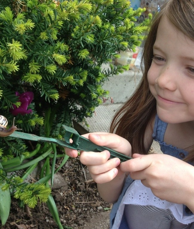 In Adoration of Snails