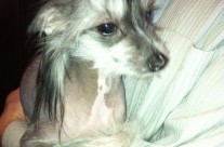 An Update on Patches