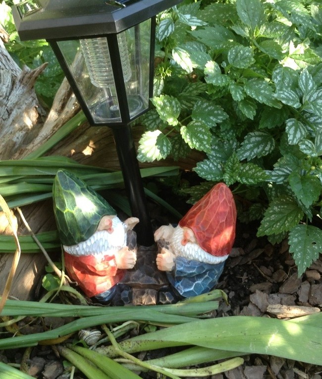 Are new garden gnome from Father’s Day!