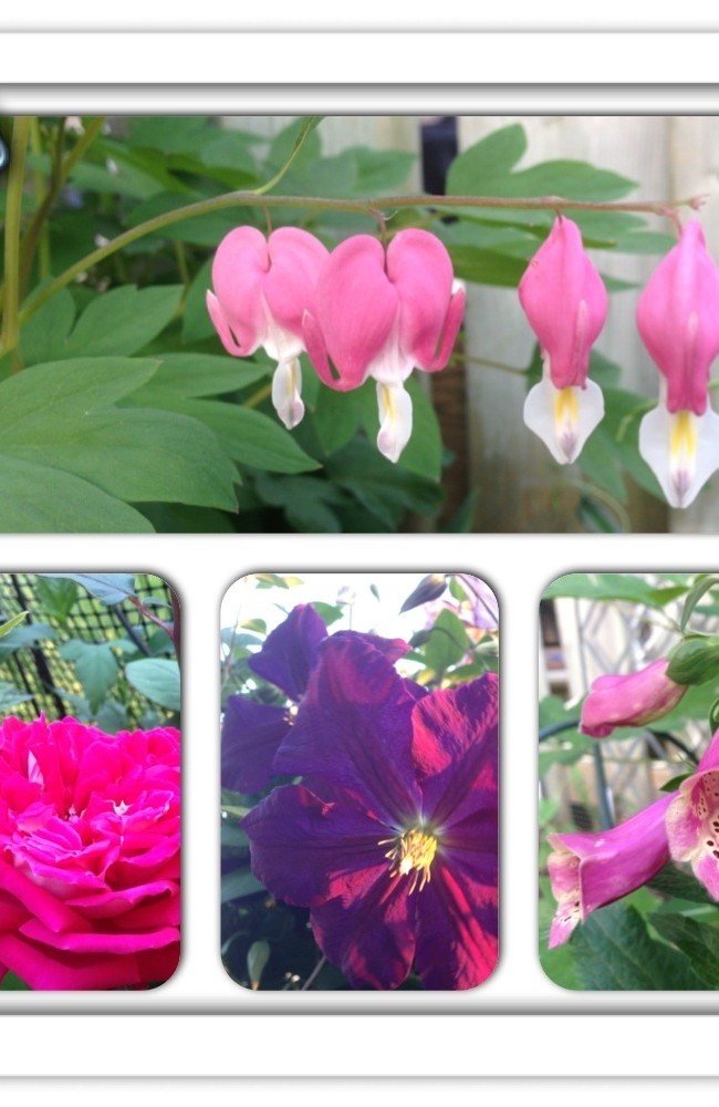 Another Garden Collage