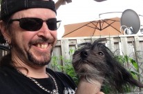 Ready To Rock And Roll