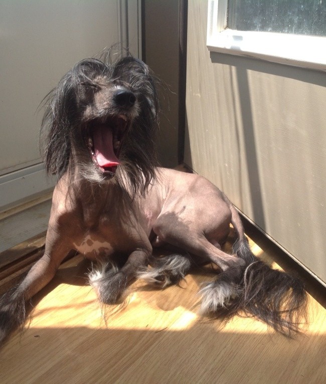 Lounging in the Sun is Hard Work