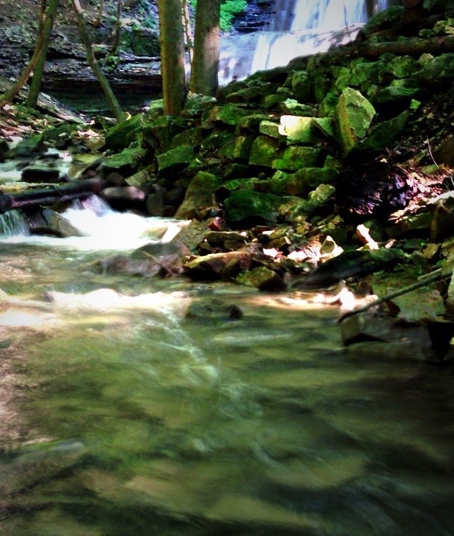 Downstream at Tiffany Falls
