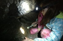 Medea Investigates the Warsaw Caves