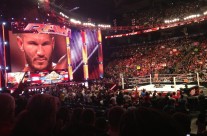 The Viper Holds His Title High