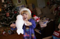 Merry Christmas Sealy!