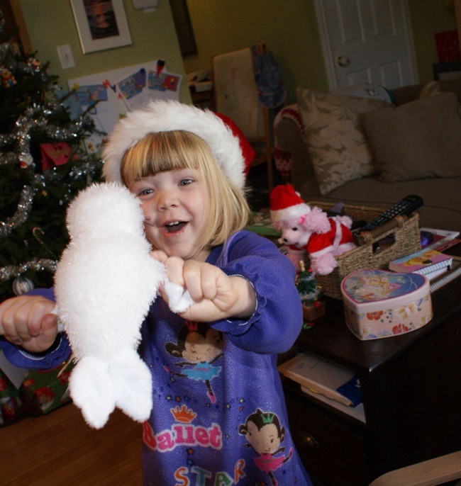 Merry Christmas Sealy!