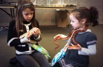 Two Snake Charmers