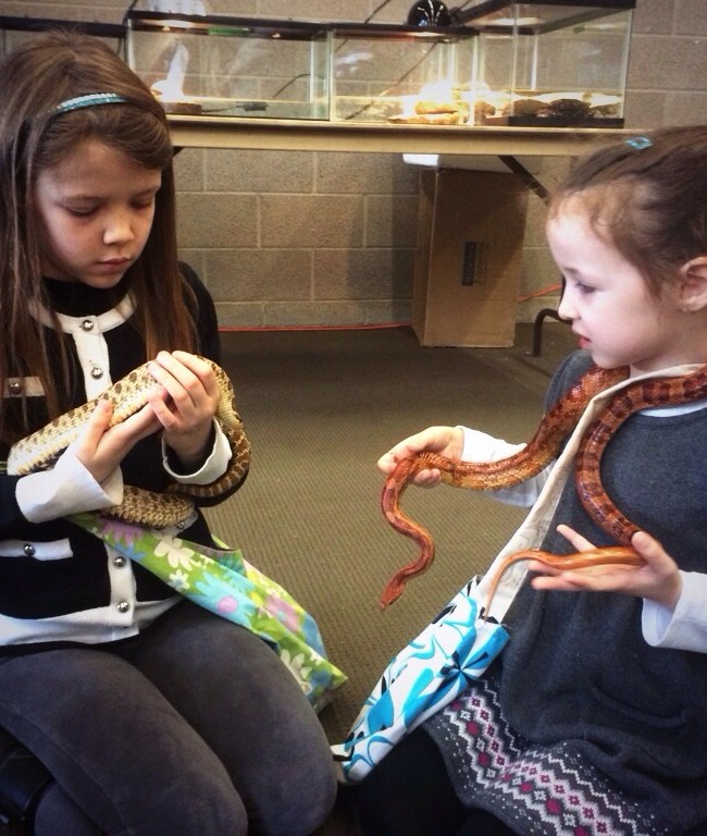 Two Snake Charmers