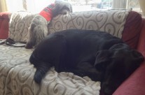 Just ‘spending time’ waiting for Gran to come home