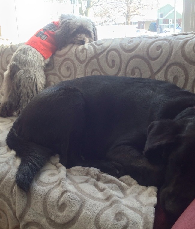 Just ‘spending time’ waiting for Gran to come home