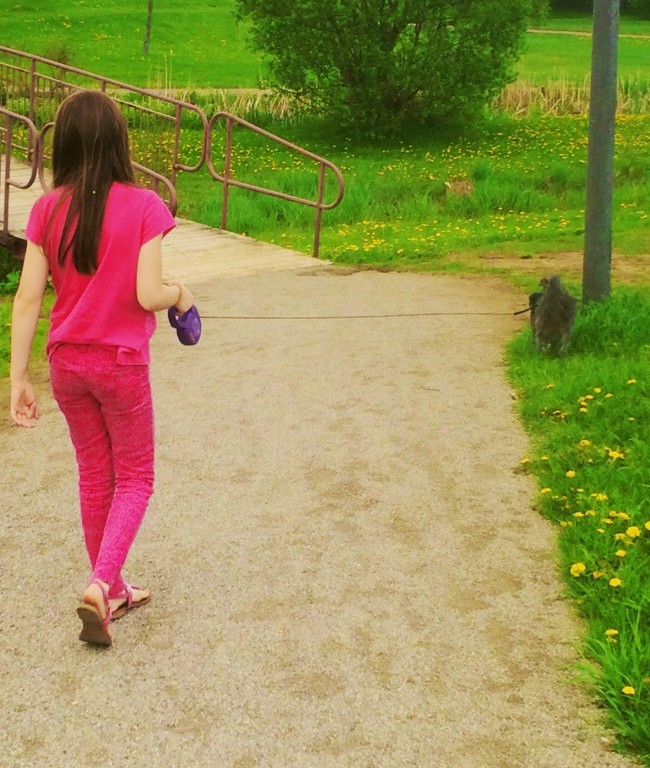 Taking Klo for a Walk