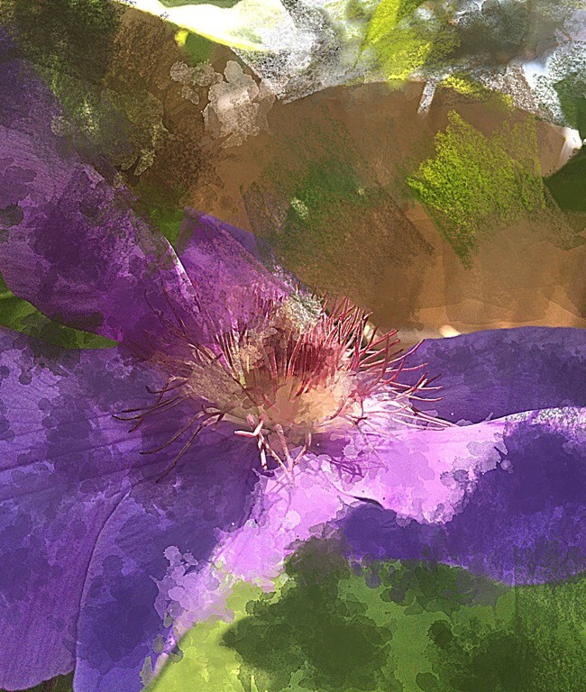 Clematis Paintification