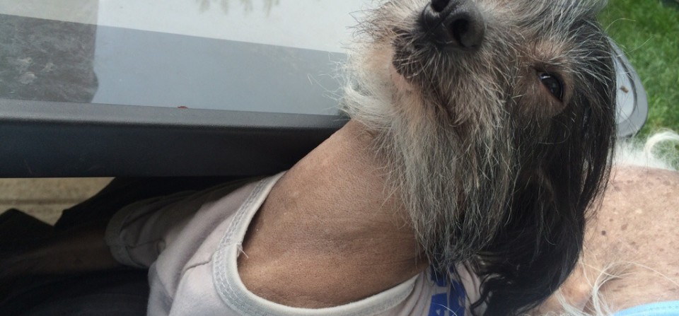 Roobert Lounging in the Wind