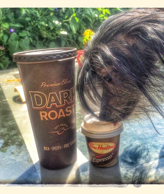 Perfect cup for Roobert