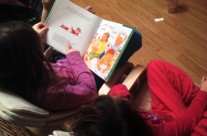 Elf On The Shelf Read By Medea
